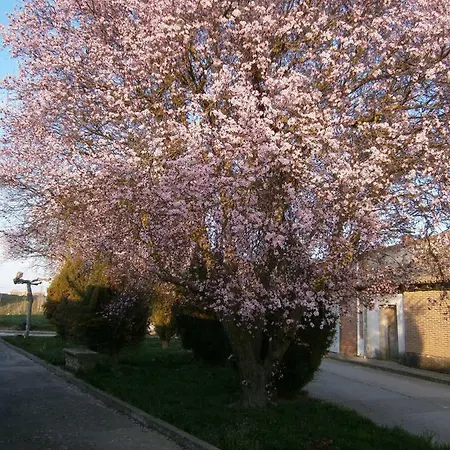 Сasa de vacaciones La Casilla De Mila