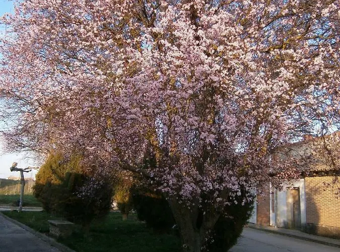 펜션 La Casilla De Mila