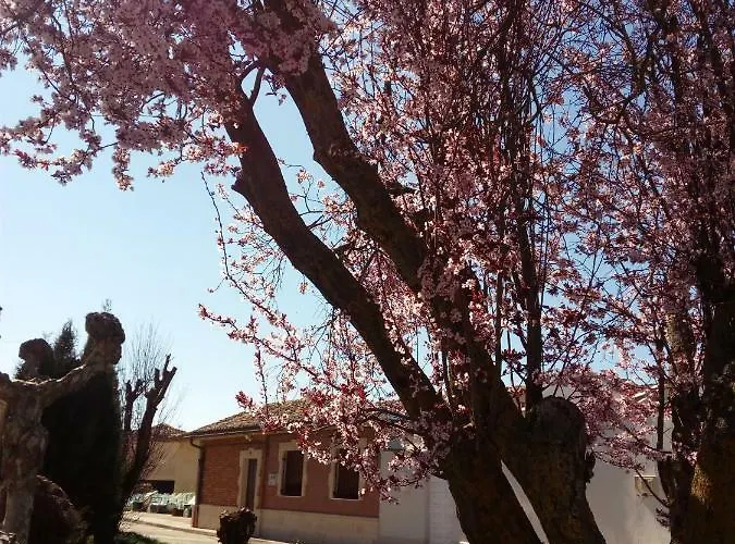 La Casilla De Mila 펜션